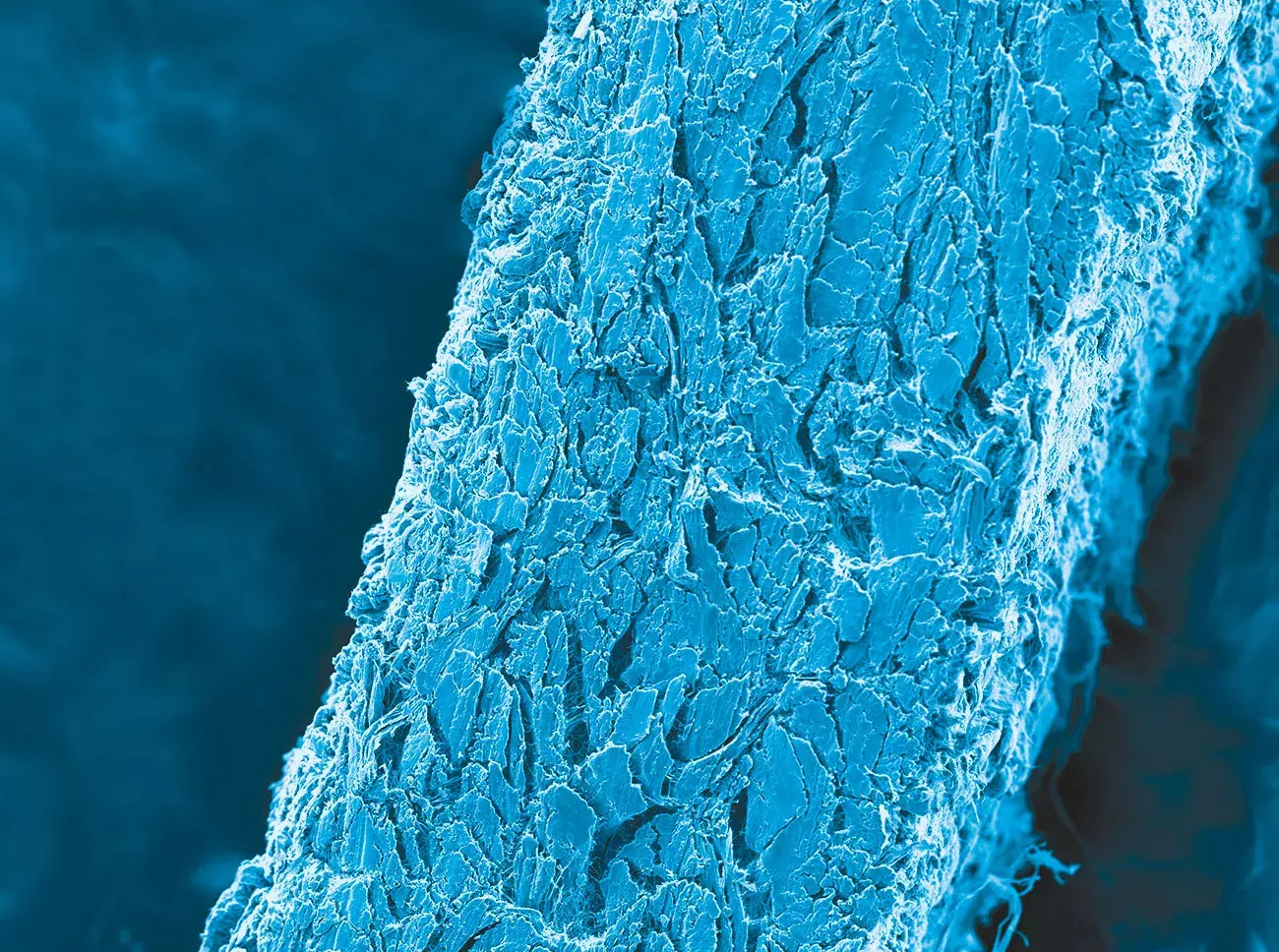 DERMA_SEM_PRODOTTI