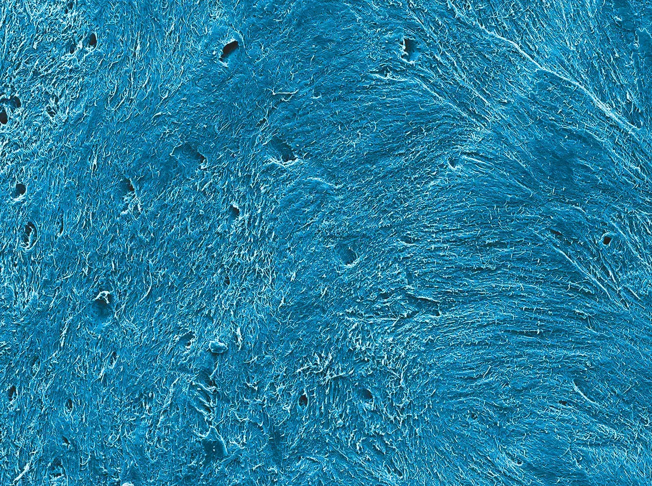 LAMINA_SEM_PRODOTTI