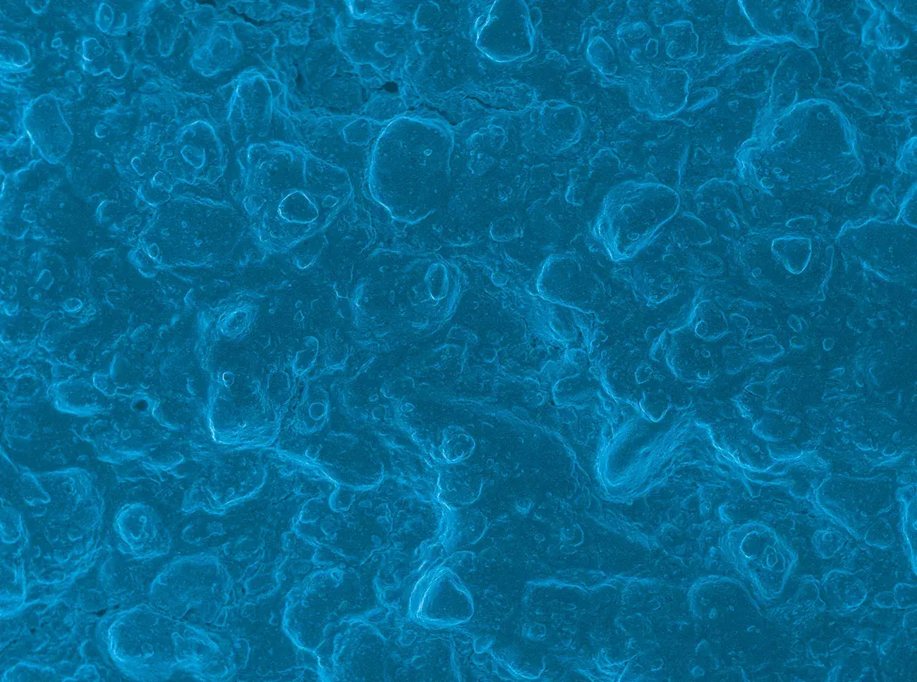 PUTTY_SEM_PRODOTTI