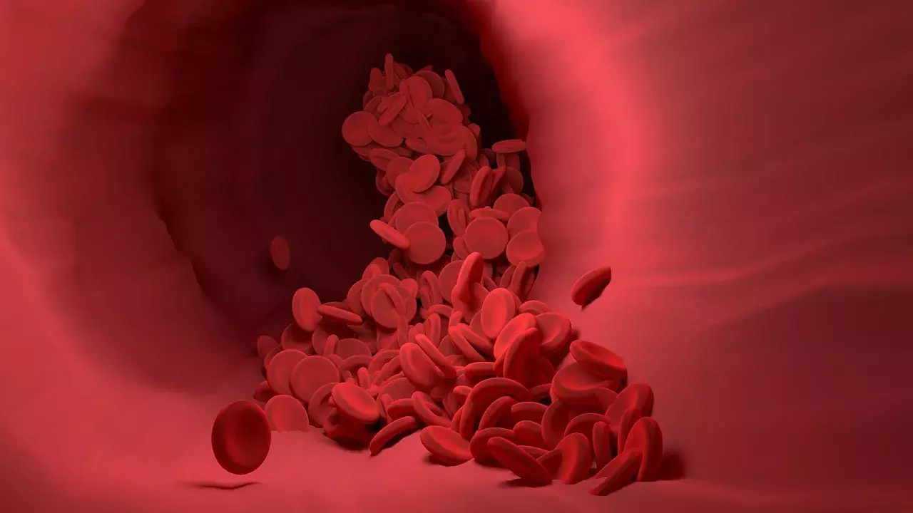 Blood
